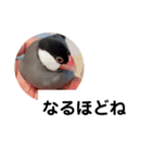 治一郎のスタンプ（個別スタンプ：15）