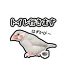 可愛い文鳥 ぴよまる_よく使うフレーズ（個別スタンプ：14）