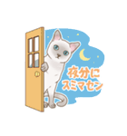 Love トンキニーズ2（個別スタンプ：13）