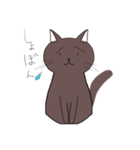 しんぷるなねこ。（個別スタンプ：6）