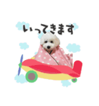 うちのハウルくん（個別スタンプ：1）