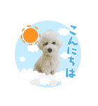 うちのハウルくん（個別スタンプ：2）
