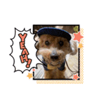 お散歩大好きタロウくん（個別スタンプ：1）
