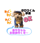 お散歩大好きタロウくん（個別スタンプ：2）