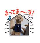 お散歩大好きタロウくん（個別スタンプ：8）