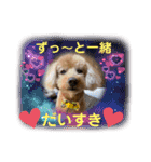お散歩大好きタロウくん（個別スタンプ：9）