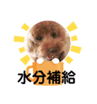 お散歩大好きタロウくん（個別スタンプ：13）