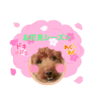 お散歩大好きタロウくん（個別スタンプ：15）
