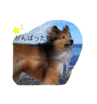 こはる ぱんな2（個別スタンプ：20）
