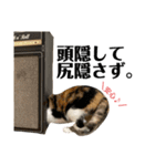 にゃお＆そーと、福（個別スタンプ：8）