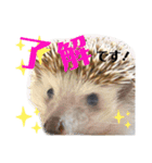 あにまるたち。（個別スタンプ：7）