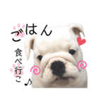 あにまるたち。（個別スタンプ：21）