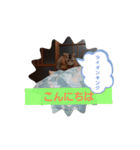 かわいい猫らいこのスタンプ（個別スタンプ：2）