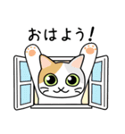 挨拶×猫×スイーツ（個別スタンプ：2）