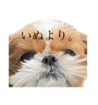 ぽろんだよ。その2（個別スタンプ：38）