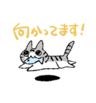 ゆるねこ4きょうだいスタンプ（個別スタンプ：9）