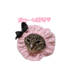 ユラノラスタンプ（個別スタンプ：14）