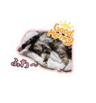 ユラノラスタンプ（個別スタンプ：22）