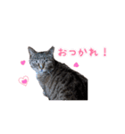 ユラノラスタンプ（個別スタンプ：32）