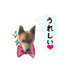 ルクオちゃんスタンプ（個別スタンプ：2）
