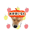 ルクオちゃんスタンプ（個別スタンプ：4）