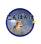 ルクオちゃんスタンプ（個別スタンプ：15）