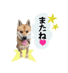 ルクオちゃんスタンプ（個別スタンプ：21）