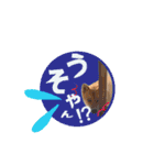 ルクオちゃんスタンプ（個別スタンプ：24）