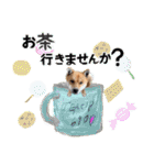 ルクオちゃんスタンプ（個別スタンプ：32）