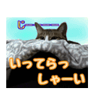 rincatsticker（個別スタンプ：2）