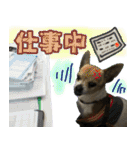 rincatsticker（個別スタンプ：5）