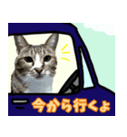 rincatsticker（個別スタンプ：13）