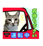 rincatsticker（個別スタンプ：14）