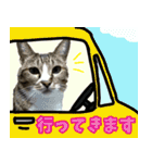 rincatsticker（個別スタンプ：15）