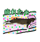 rincatsticker（個別スタンプ：16）