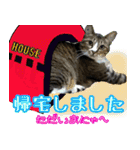 rincatsticker（個別スタンプ：19）