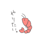 おだやかなえび（個別スタンプ：4）