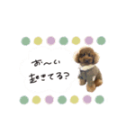♡ともみ様（個別スタンプ：1）