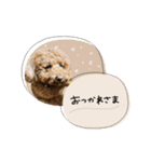 ♡ともみ様（個別スタンプ：7）