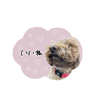 ♡ともみ様（個別スタンプ：8）