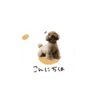 ♡ともみ様（個別スタンプ：11）