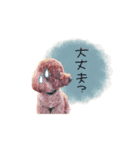 ♡ともみ様（個別スタンプ：13）
