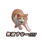 ゆらのらスタンプ（個別スタンプ：3）