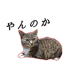 ゆらのらスタンプ（個別スタンプ：4）