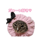 ゆらのらスタンプ（個別スタンプ：14）