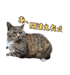 ゆらのらスタンプ（個別スタンプ：15）