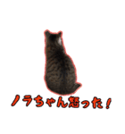 ゆらのらスタンプ（個別スタンプ：17）