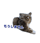 ゆらのらスタンプ（個別スタンプ：18）