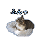 ゆらのらスタンプ（個別スタンプ：19）