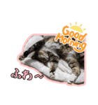 ゆらのらスタンプ（個別スタンプ：21）